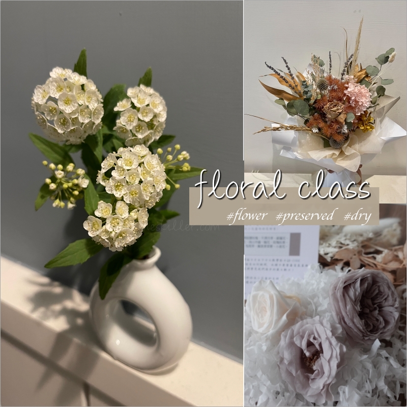 花草觀察誌 鮮花 切花 乾燥花 永生花養護保存小知識分享 林飛比 玩美誌 花草觀察誌 鮮花 切花 乾燥花 永生花養護保存小知識分享 林飛比 玩美誌