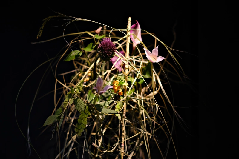 Ku Flower | 花藝結構探討：利用植物之獨特性，編織出屬於自己～手的溫度