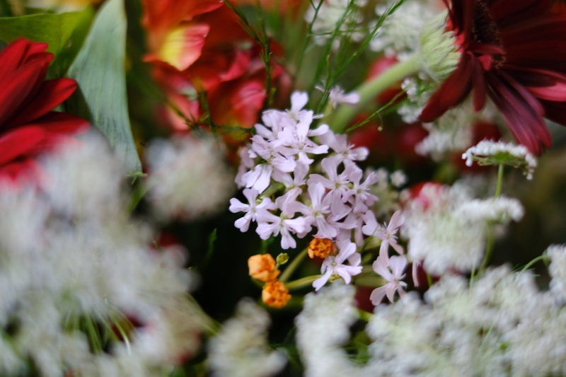 桂舍 kuei fleur 花藝課程 德式花束