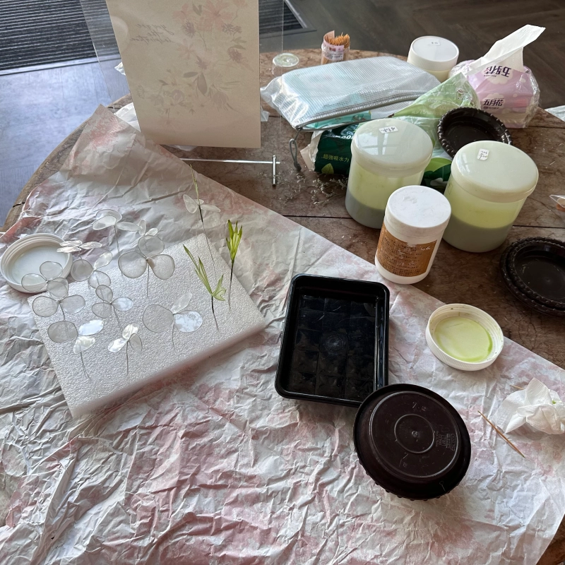 陽台花序 水晶花 椛塢記事 蝴蝶陸蓮