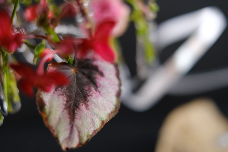 ku flower 桌花 花藝結構 花藝課程