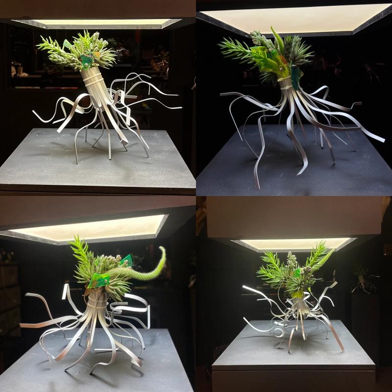 ku flower 植物裝置藝術 桌花 植物裝置