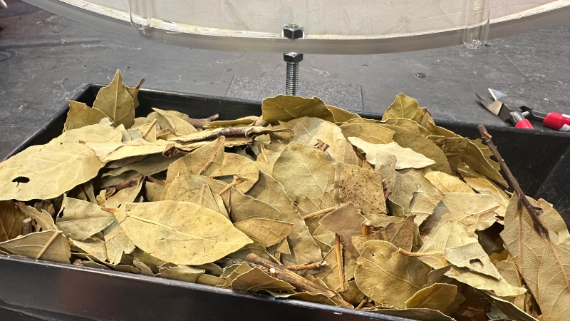 ku flower 花藝結構探討 桌花