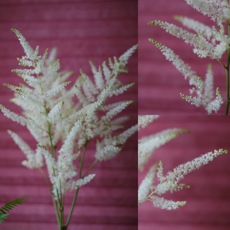 ｜蘭薫花藝｜集花冊：泡盛