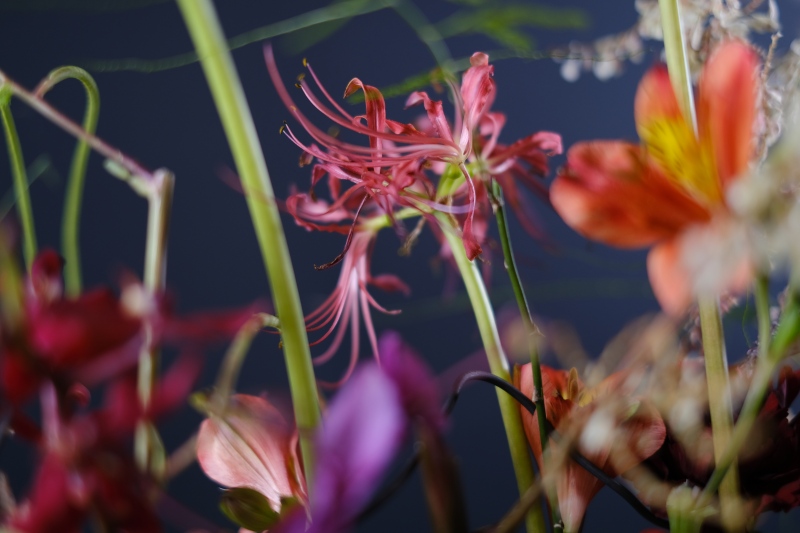ku flower 軟木板 花藝結構