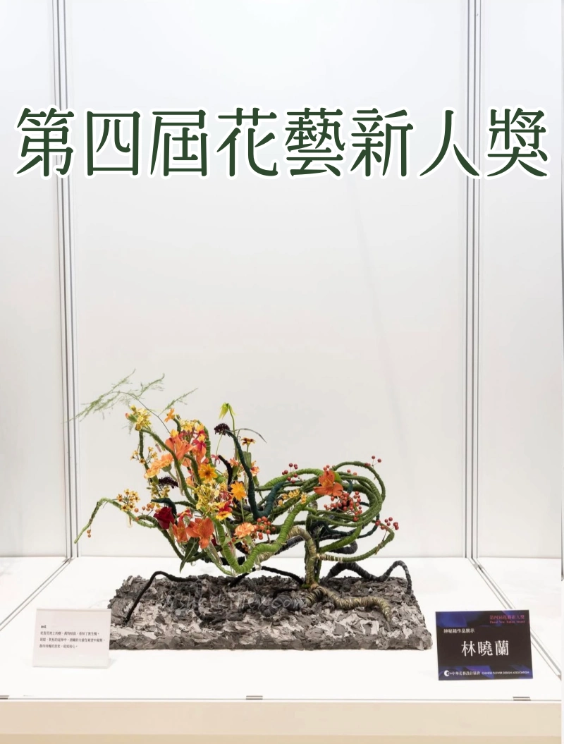 花藝新人獎 CFD中華花藝協會