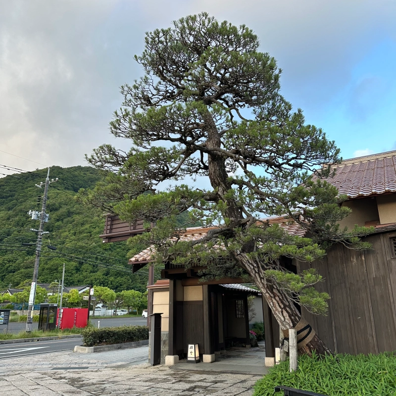 島根．出雲住宿 | いにしえの宿 佳雲(古之宿 佳雲)。傳統溫泉旅館，溫馨舒適 賓至如歸的服務 @林飛比。玩美誌