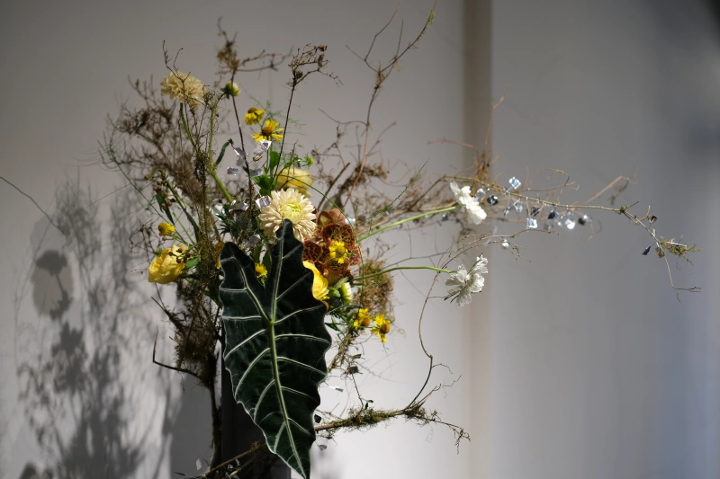 花疫室進階3 | 鋁箔與苔枝，藉由旅行與自我念想表達出生命既視感 @林飛比。玩美誌