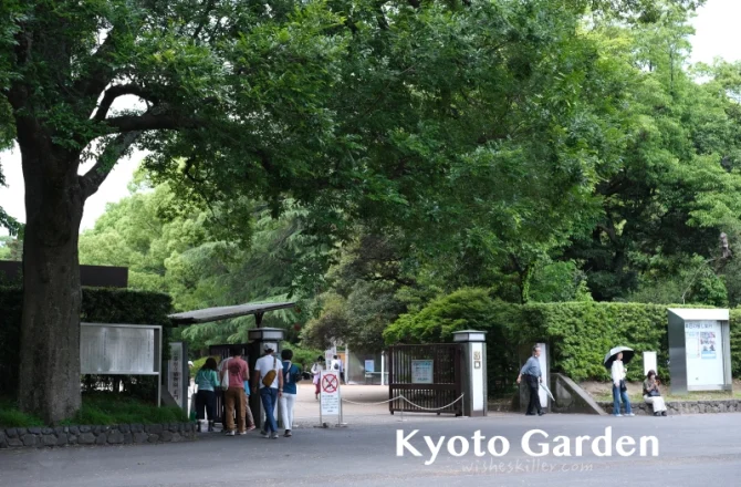 京都．左京區景點 | 京都府立植物園，與日本花花草草來場慢悠的約會～