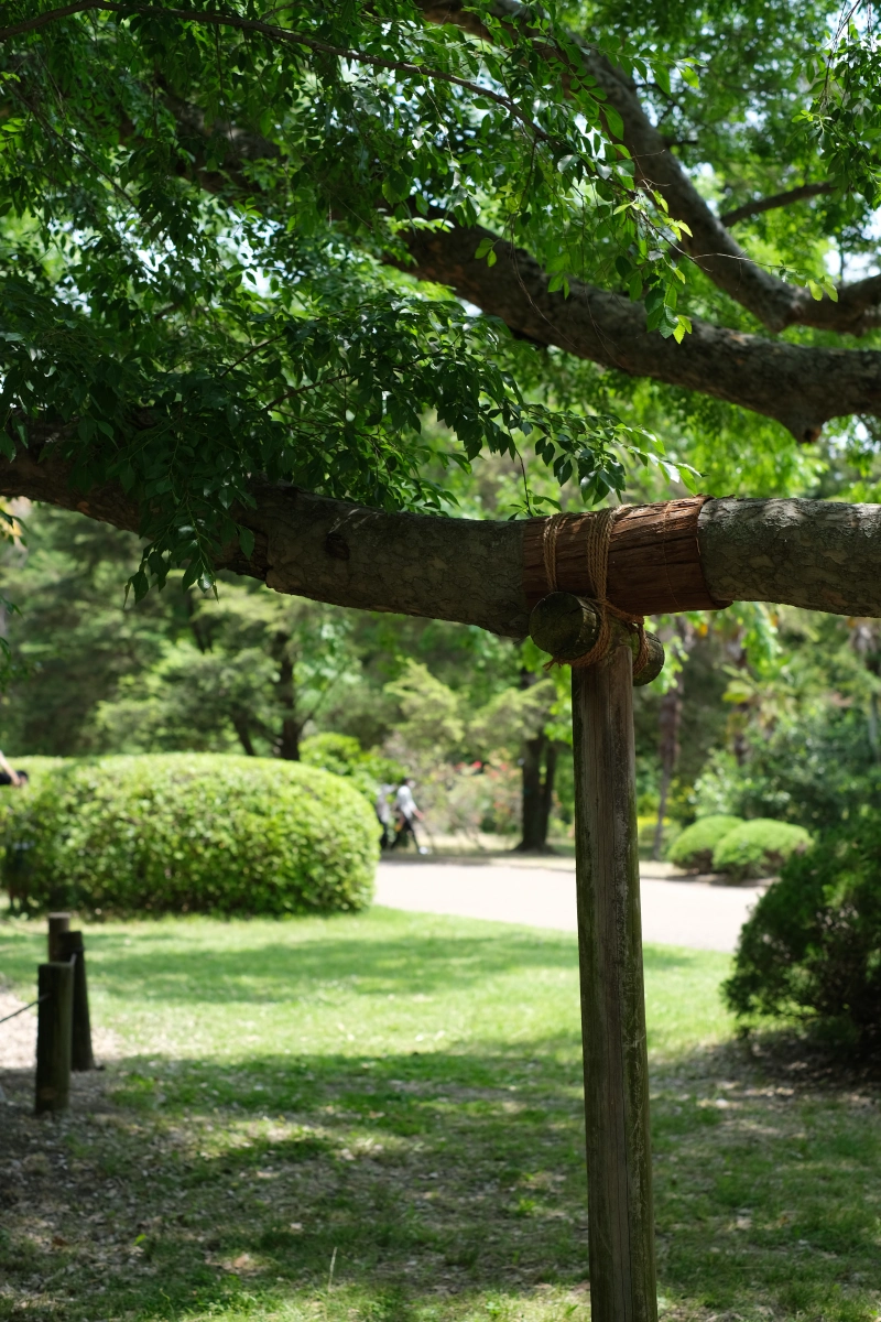 京都．左京區景點 | 京都府立植物園，與日本花花草草來場慢悠的約會～ @林飛比。玩美誌