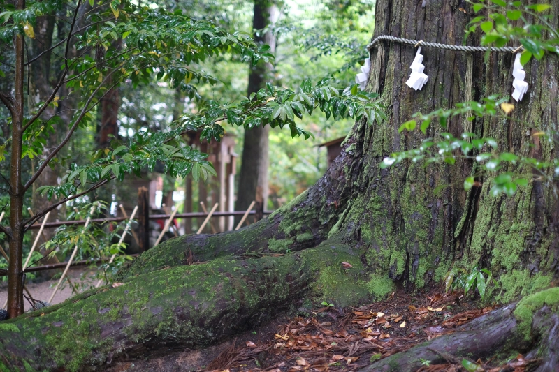 島根．出雲景點 | 須佐大宮(神社)。在素戔鳴尊最後鎮守的土地上，與之締結良緣 @林飛比。玩美誌