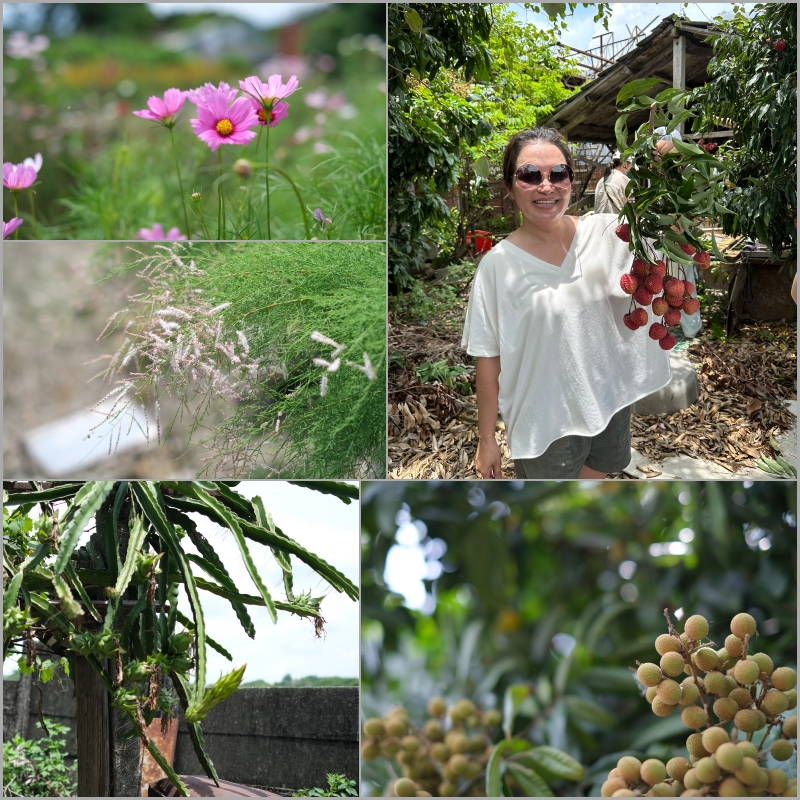 花藝系列課程分享 | 齊學。親訪雲林私人花田，珍惜花農養出來的每朵花～ @林飛比。玩美誌
